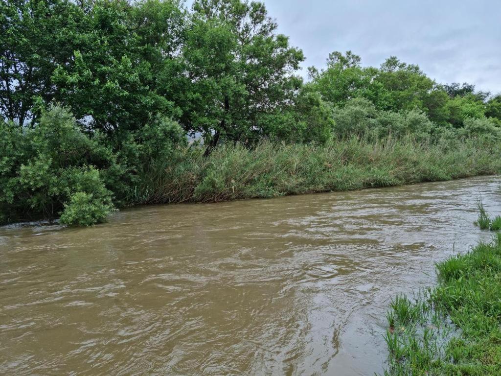 Crocodile Sands River Lodge Mbombela Zewnętrze zdjęcie